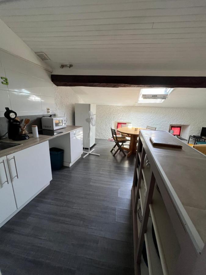 Appartement Au Coeur De カルカソンヌ エクステリア 写真