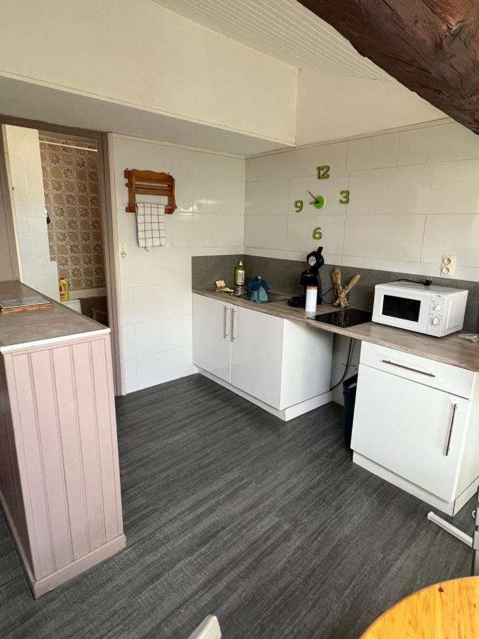 Appartement Au Coeur De カルカソンヌ エクステリア 写真